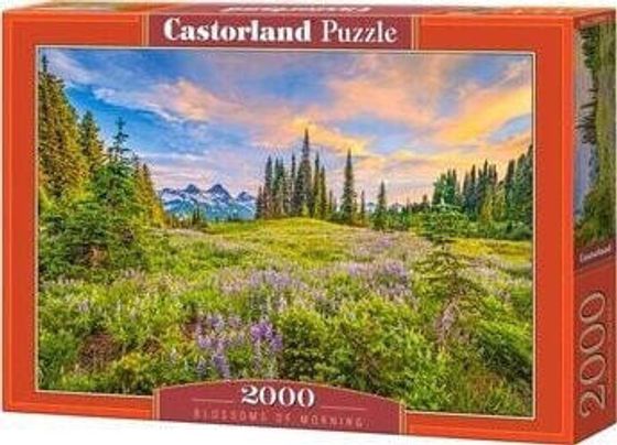 Castorland Puzzle 2000 Blossoms of Morning