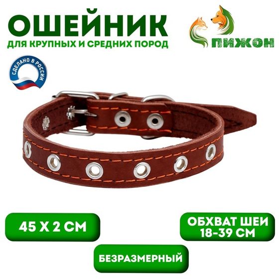 Ошейник кожаный однослойный безразмерный, 45 х 2 см, ОШ 18-39 см, коричневый