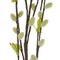 Ветка искусственная "Верба", L16 W6 H92 см