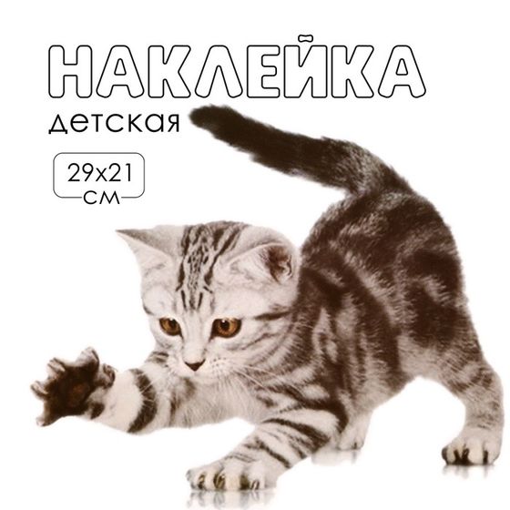 Наклейка 3Д интерьерная Котик 29*21см