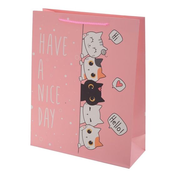 Пакет подарочный (бумага 210г/м2, блок микс 12шт), L18 W8,5 H24 см, 4в.