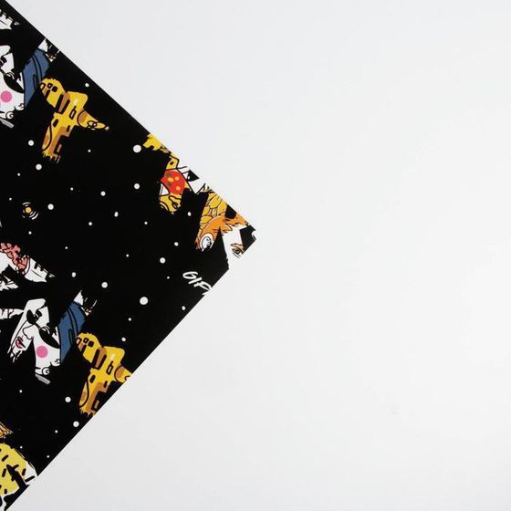 !09 Бумага упаковочная 2 листа глянцевая Present, 70 × 100 см/