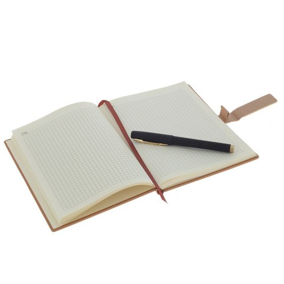 Набор из блокнота и ручки, Д19,5 Ш24,5 В4 см