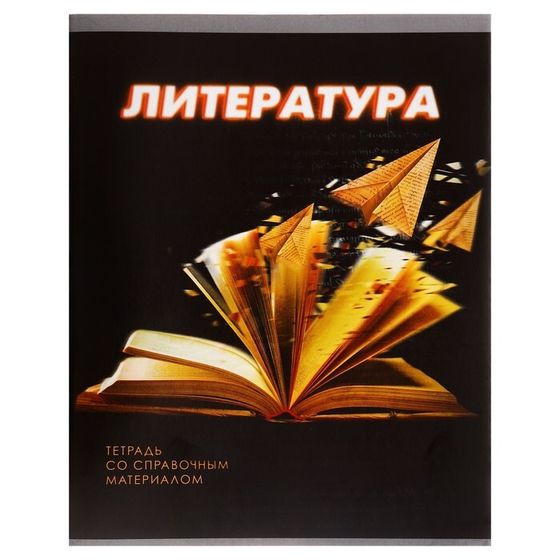 Тетрадь предметная 48 листов в клетку Calligrata, «Литература 3D», со справочным материалом, обложка мелованный картон, блок №2, белизна 75% (серые л�...
