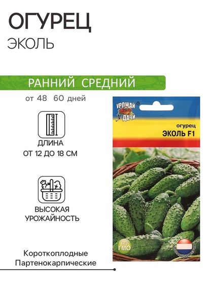 Семена Огурец &quot;Эколь&quot; F1, 0,2 г.