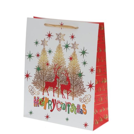 Пакет подарочный (бумага 210г/м2, блок 12шт), L26 W10 H32 см, 4в.