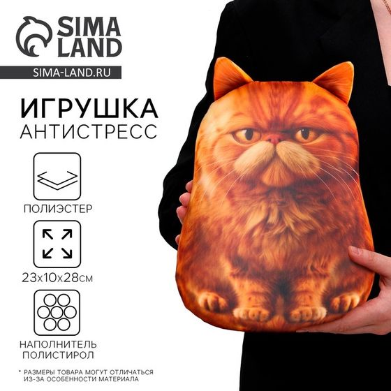 Игрушка антистресс «Рыжий кот»