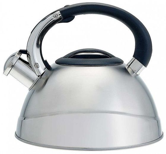 Чайник Alpenkok AK-531 3л со свистком