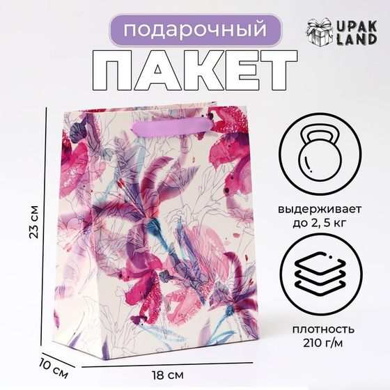 Пакет ламинированный «Иллюзии», MS 18×23×10 см