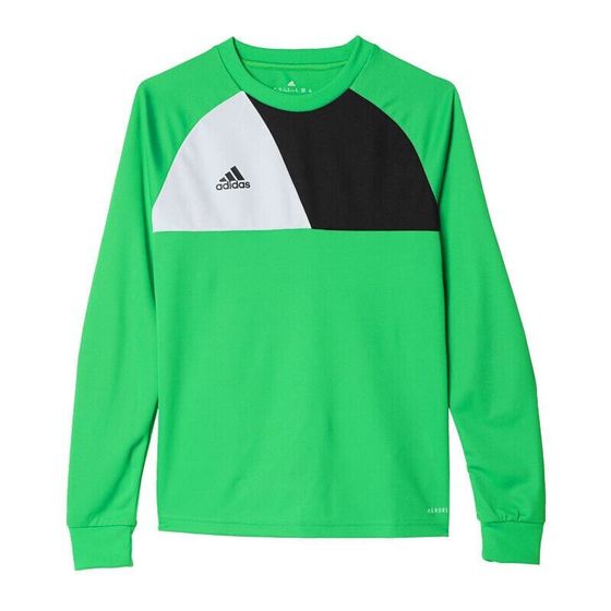 Adidas Assita 17 Jr AZ5406 sweatshirt