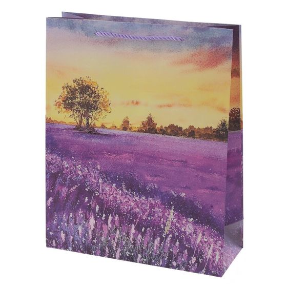 Пакет подарочный (бумага 210г/м2, блок микс 12шт), L31 W12 H40 см, 4в.