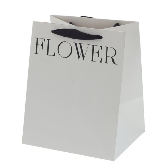 Пакет подарочный M (бумага 250г/м2, блок 10шт), L28 W28 H28 см