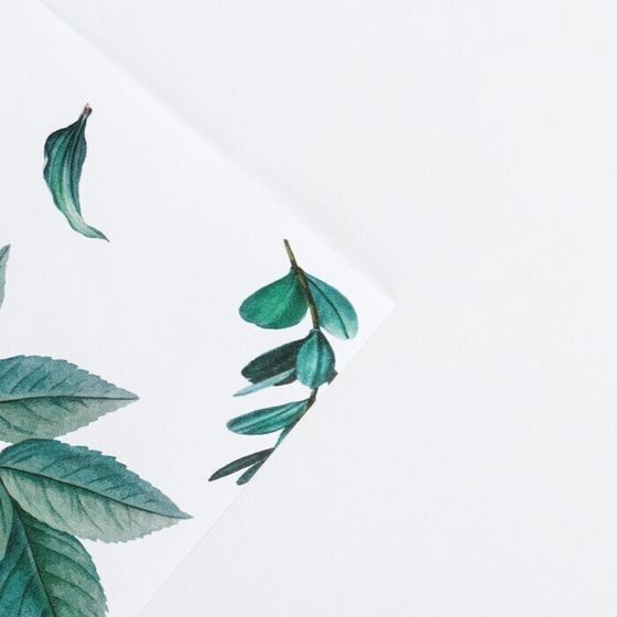 !09 Бумага (набор 5 листов) упаковочная глянцевая «Листочки», 70 × 100 см.