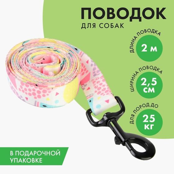 Поводок «Сочное настроение», 2.5 см, 2 м