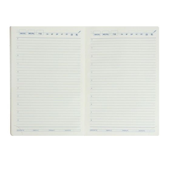 !09 Ежедневник НЕдатир. А5, 136 листов в линейку, кожзам "Небраска", золотой срез, синий