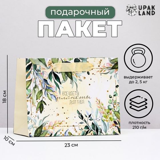Пакет ламинированный горизонтальный «Цветы планеты», 23×18×10 см