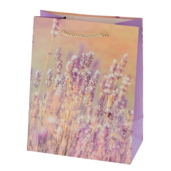 Пакет подарочный (бумага 210г/м2, блок 12шт), L18 W10 H23 см, 4в.