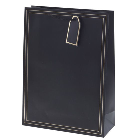 Пакет подарочный (бумага 210г/м2, блок 12шт), L31 W12 H42 см, 10в.