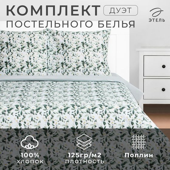 Постельное бельё Этель Дуэт Jasmine 143х215 см - 2 шт, 220х240 см, 70х70 см -2 шт, поплин