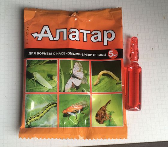 !09 Алатар для защиты растений от вредителей 5 мл. От колорадского жука, гусениц, тли, трипсов, долгоносика, пилильщика, луковых мушек, моли