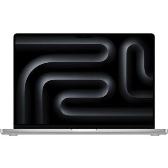 Ноутбук 16&quot; Apple MacBook Pro серебристый 48Gb/1Tb MacOS (MUW73ZP/A)