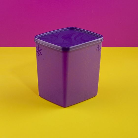 Контейнер для заморозки ALASKA 2л фиолетовый