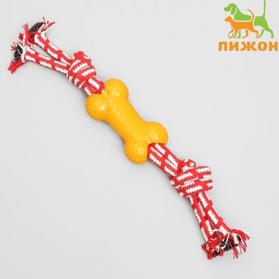 Игрушка канатная двойная с косточкой, до 30 см, до 85 г, микс цветов