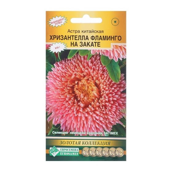 Семена цветов Астра китайская &quot;Хризантелла Фламинго на Закате&quot;, 5 шт