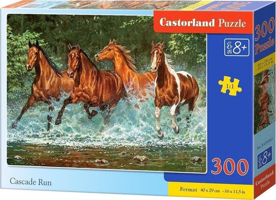 Castorland Puzzle Cascade Run