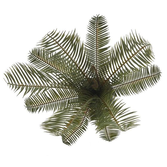 Цветочная композиция "Пальма", L37 W33 H45 см, 1 штука, дизайн микс