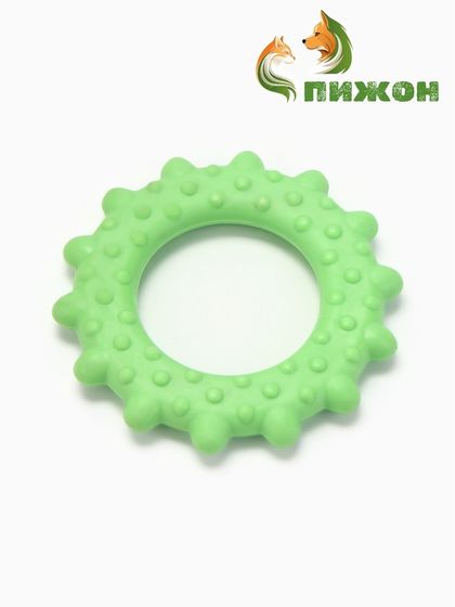 Игрушка жевательная &quot;Кольцо с шипами&quot;, TPR, 8,5 см, зелёная