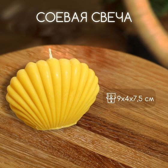 Свеча &quot;Ракушка малая&quot; 9х4х7,5 см, соевый воск МИКС