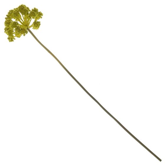 Цветок искусственный &quot;Дягиль&quot;, L16 W16 H80 см