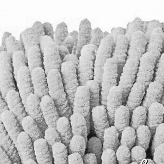 Набор для уборки DSV