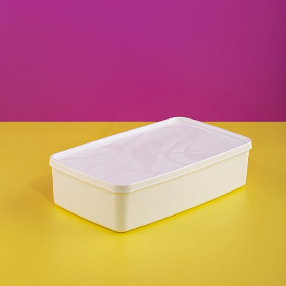 Контейнер для заморозки ALASKA 2.1л белый