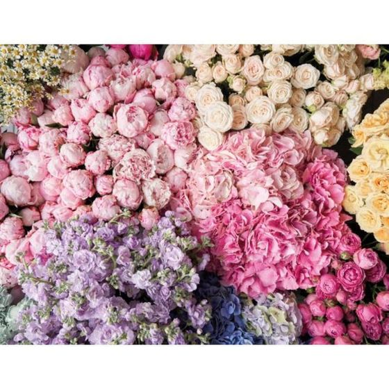 !09 Бумага (набор 4 листа) упаковочная глянцевая "Букет цветов" 50 × 70 см.