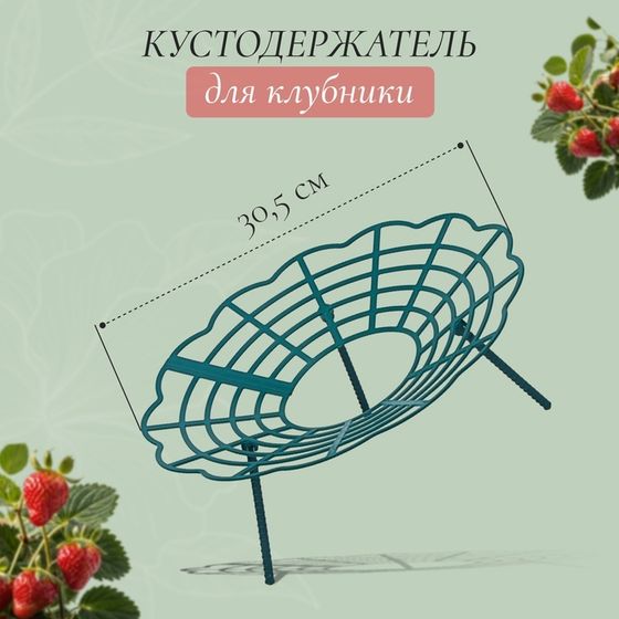 Кустодержатель для клубники, d = 30.5 см, пластик, зелёный