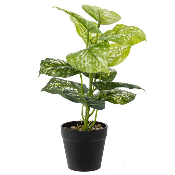 Цветочная композиция, L25 W25 H30 см, 5в.