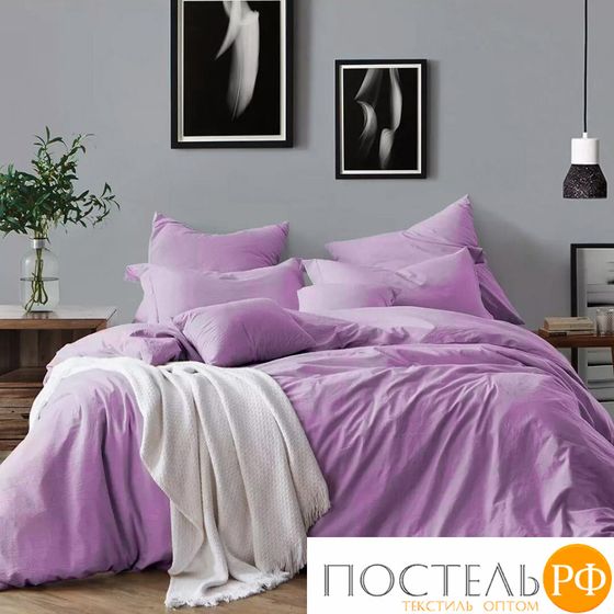 50200/30 КПБ 1,5сп н(2) 50*70 &quot;Modern&quot; Berry микрошелк