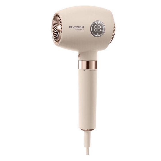 FLYCO FH6369 Hair Dryers 1600W Negative Ion Hair Care Cold Air Hot Air High Power Quick Dry