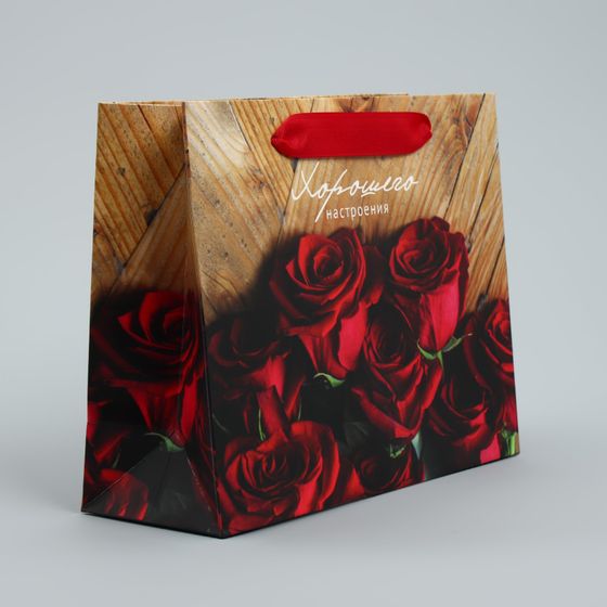 !НАБОР 2 ШТУКИ - Пакет подарочный ламинированный «Хорошего настроения», 22 × 17.5 × 8 см