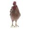 Фигурка декоративная &quot;Петух&quot;, L19,5 W9,5 H26 см