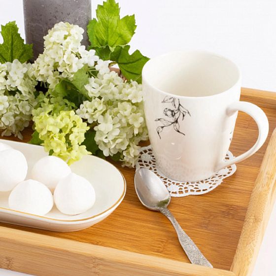 Кружка PEONIA 360мл