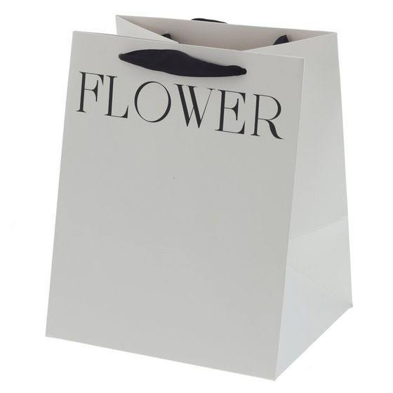 Пакет подарочный S (бумага 250г/м2, блок 10шт), L22 W19 H27 см