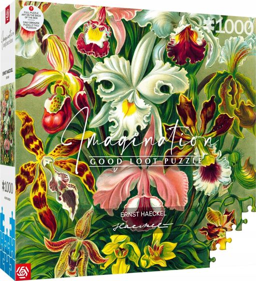 Good Loot Good Loot Puzzle: Imagination - Ernst Haeckel - Orchidea / Orchid (1000 elementów)