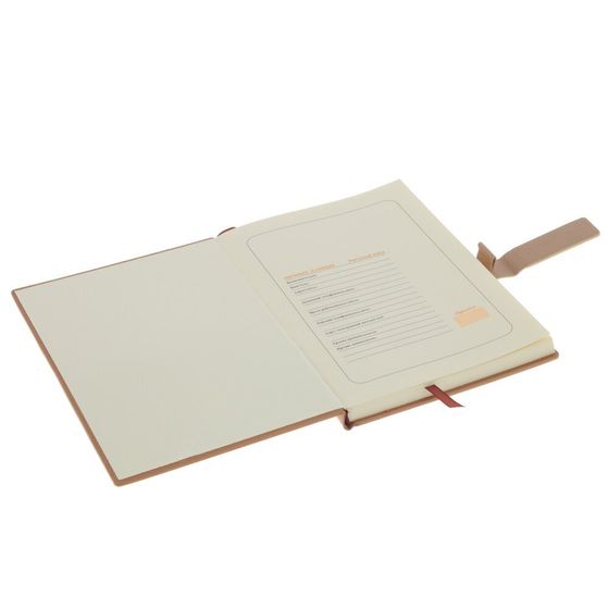 Набор из блокнота и ручки, Д19,5 Ш24,5 В4 см