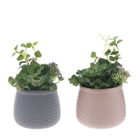 Цветочная композиция, L11 W11 H18 см