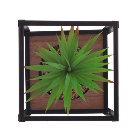 Цветочная композиция &quot;Суккулент&quot;, L14 W14 H21 см