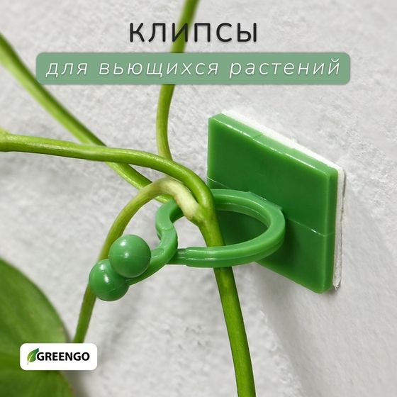 Крепления для вьющихся растений, самоклеящиеся, d = 15 мм, цвет МИКС, Greengo