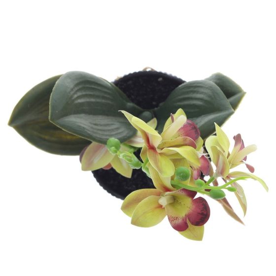 Цветочная композиция "Орхидея", L11 W11 H26 см